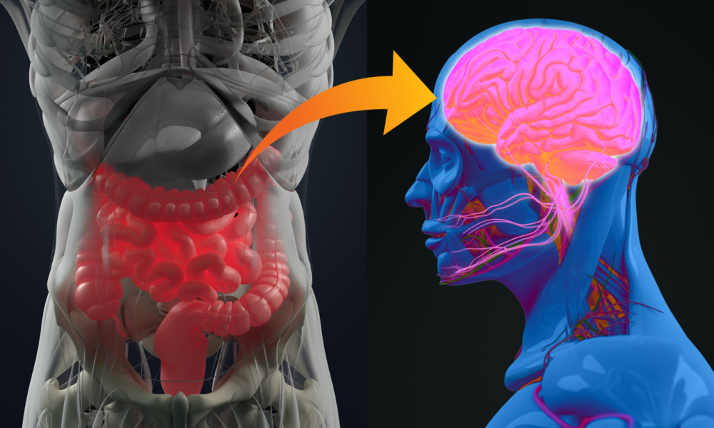 Tilting on the Gut-Brain Axis