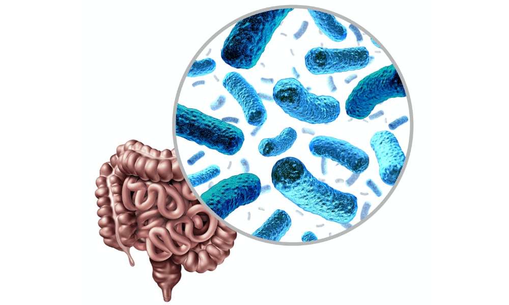 The Human Microbiome: Why Microbes Could be Key to Our Health